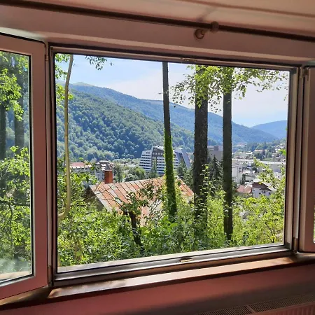 Tudor View Apartment Sinaia