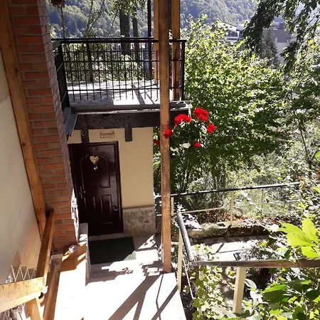 Apartment Tudor View Sinaia