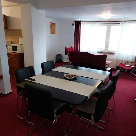 Apartment Tudor View Sinaia