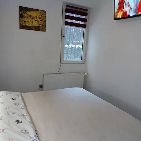 Apartment Tudor View Sinaia